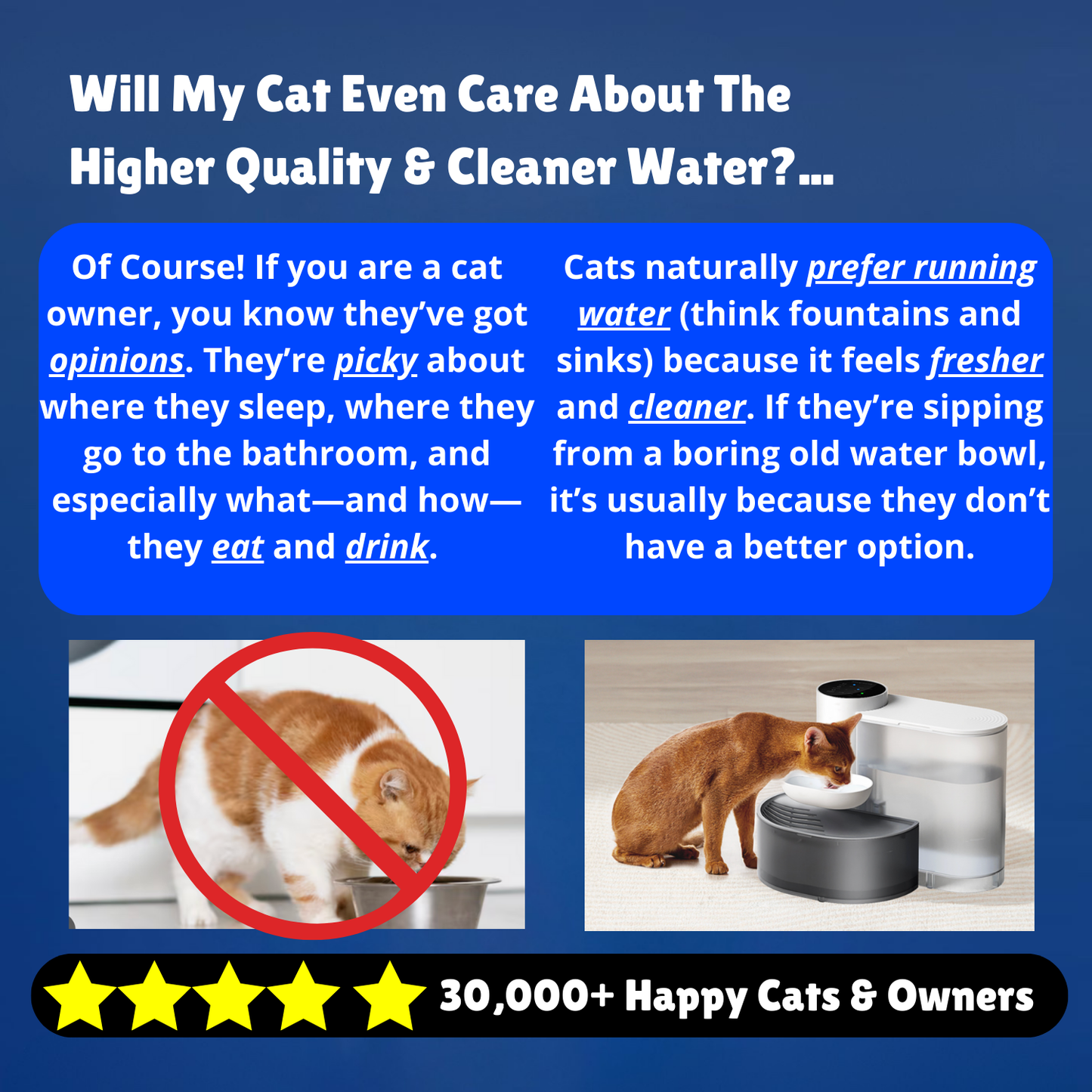 Smart Water Fountain - By PurrFlow