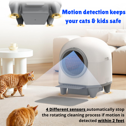 Self-Cleaning Cat Litter