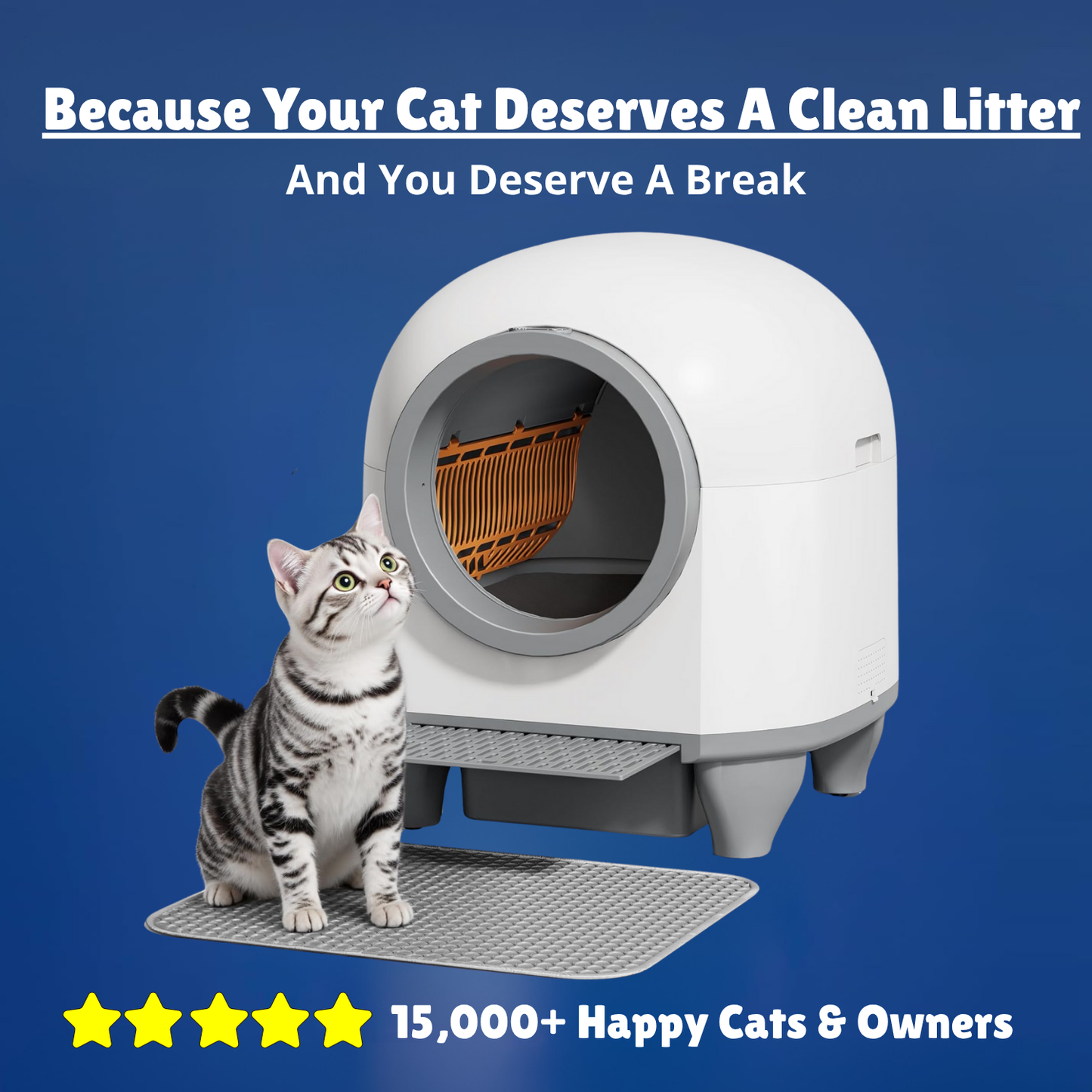 Self-Cleaning Cat Litter