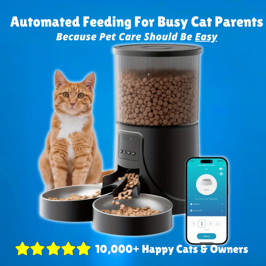 Automatic Cat Feeder