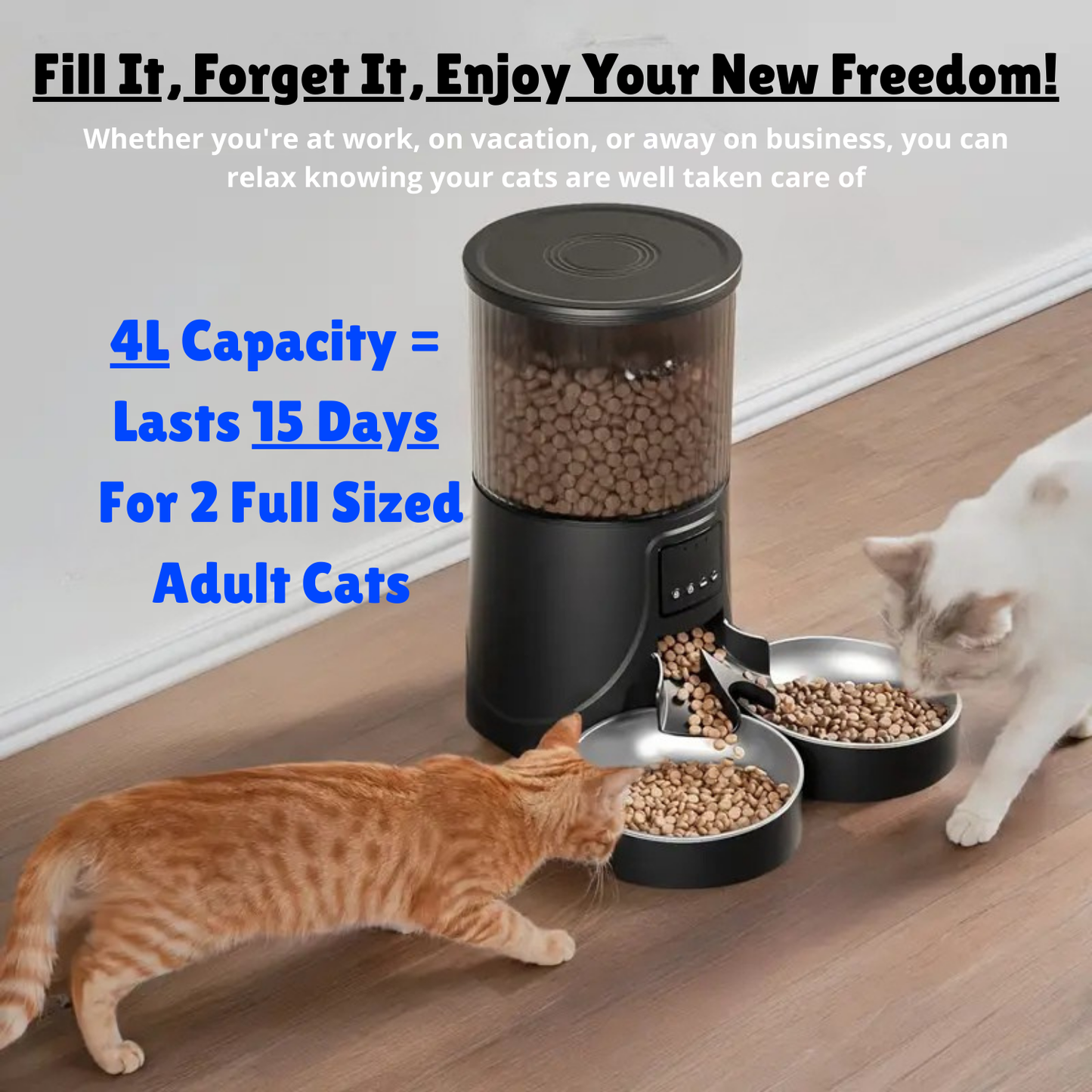 Automatic Cat Feeder