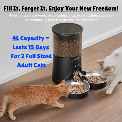 Automatic Cat Feeder
