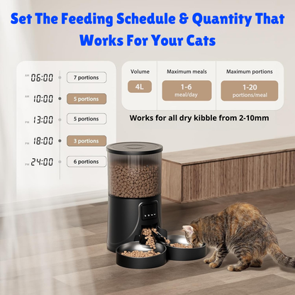 Automatic Cat Feeder